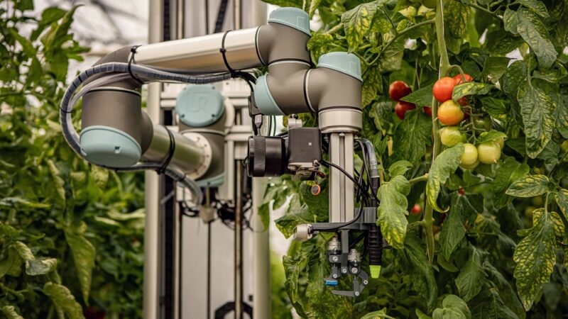 Mladý český farmář využívá při pěstování rostlin umělou inteligenci, v&nbsp;Bruselu sklidil úspěch