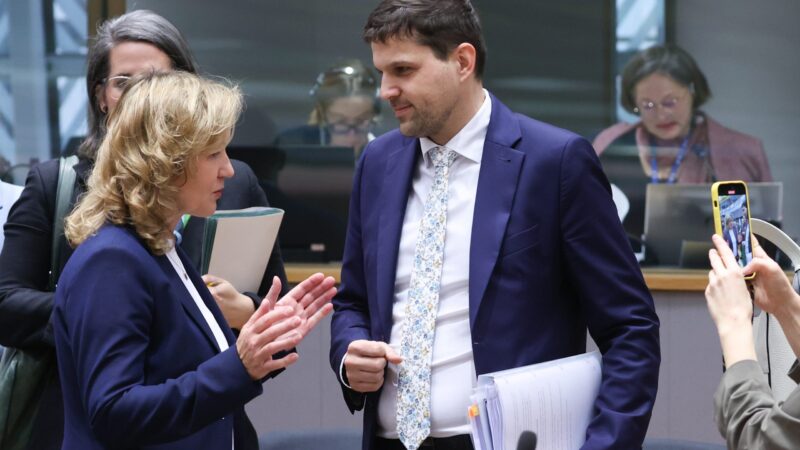 Odložte zpoplatnění emisí pro plyn a&nbsp;pohonné hmoty, vyzvalo v&nbsp;EU Česko