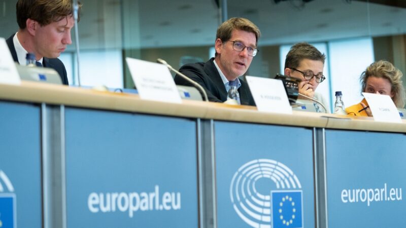 Zelená nálepka pro jádro a&nbsp;plyn je v&nbsp;ohrožení. Europoslanci se vzepřeli Evropské komisi