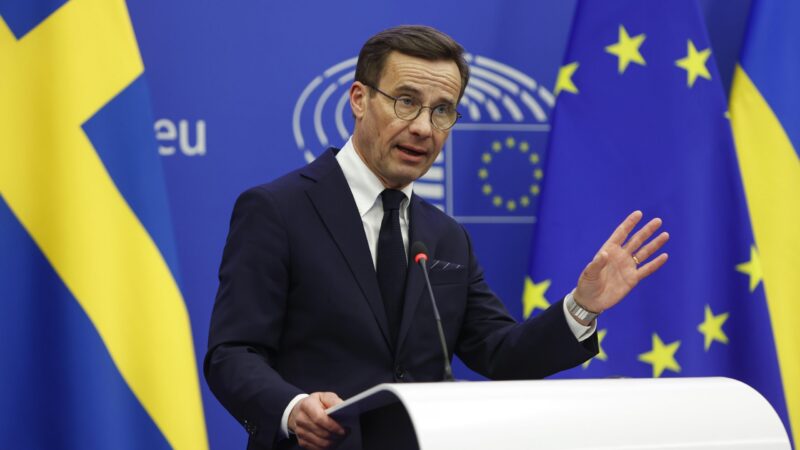 Švédská vláda chce vést EU zeleným směrem, sama je však rukojmím populistů a&nbsp;euroskeptiků, varují europoslanci