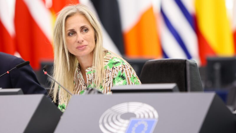 HN: Charanzová v&nbsp;evropských volbách nebude kandidovat za hnutí ANO