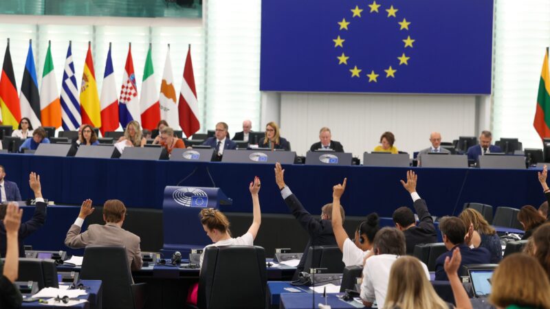 V europarlamentu prošel návrh o&nbsp;obnově přírody. Pomohly i&nbsp;hlasy českých rebelů z&nbsp;řad lidovců a&nbsp;konzervativců