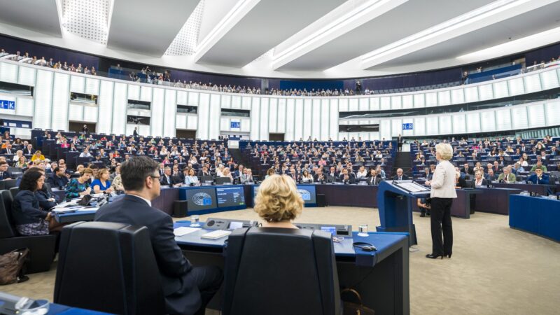 Většina českých europoslanců sedí v&nbsp;opozici, jejich vliv bude omezený, varují experti