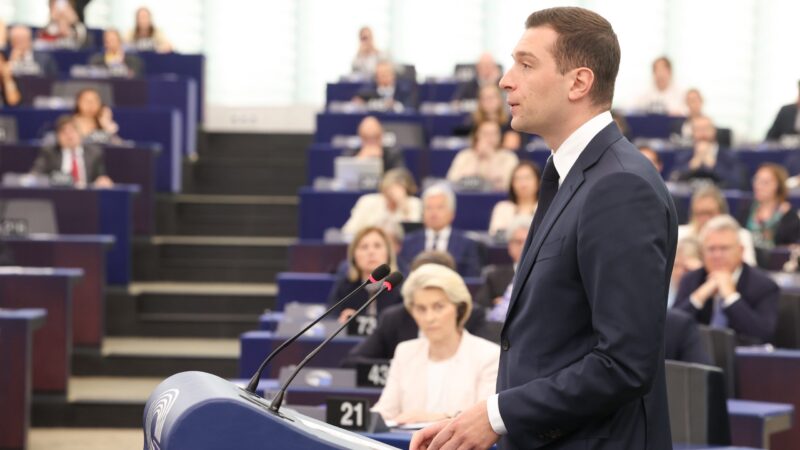 Patrioti už jsou i&nbsp;evropská politická strana. ANO v&nbsp;ní zatím chybí