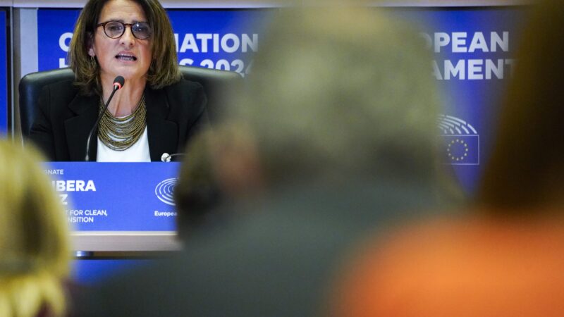 Grilování Ribery ovládli španělští europoslanci. Jádro budu respektovat, odpověděla na dotaz europoslance Vondry