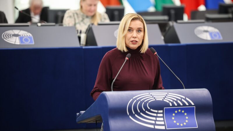 Nerudová navrhuje vytvořit post unijního koordinátora pro autoprůmysl. Zbytečné, reagují ostatní europoslanci
