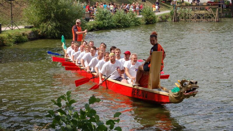 Místní akční skupina v&nbsp;Telči pomáhá s&nbsp;dotacemi majitelům lesů i&nbsp;lidem v&nbsp;obtížné situaci