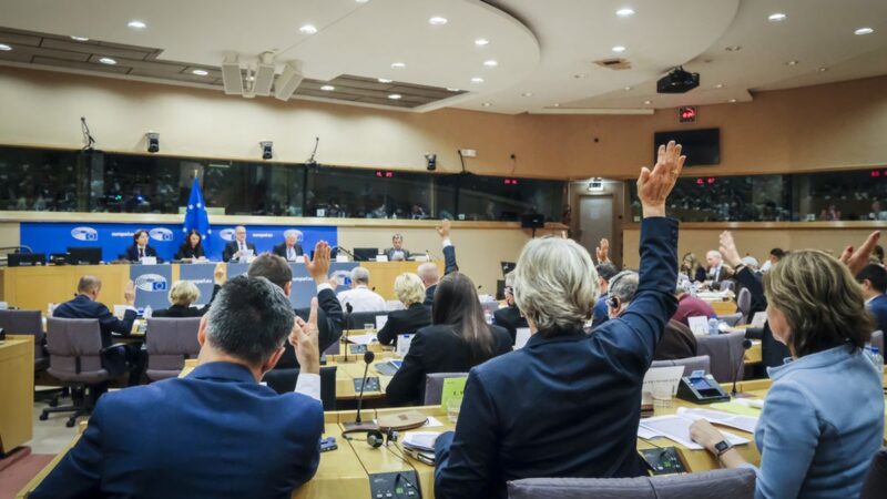 Češi obsadili vysoké posty ve výborech Evropského parlamentu