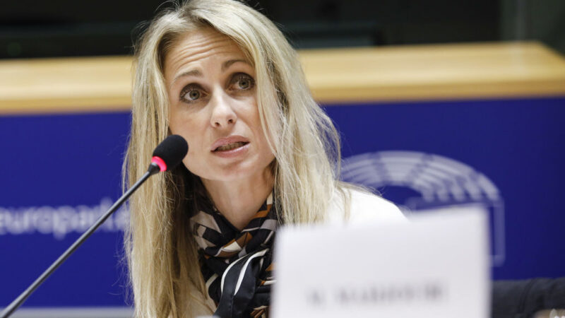 Dita Charanzová: Po brexitu měl v&nbsp;EU přijít moment reflexe, zatím ale nenastal