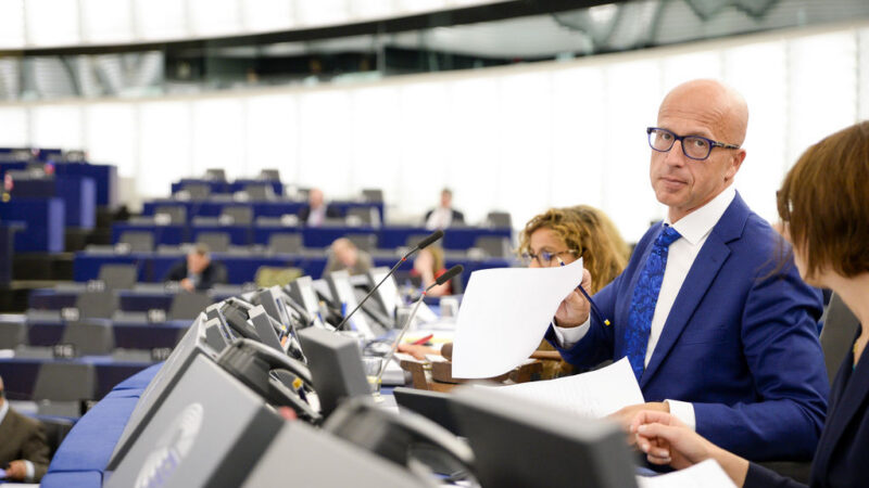 Hnutí europoslanců Teličky a&nbsp;Ježka získalo dostatek podpisů pro registraci