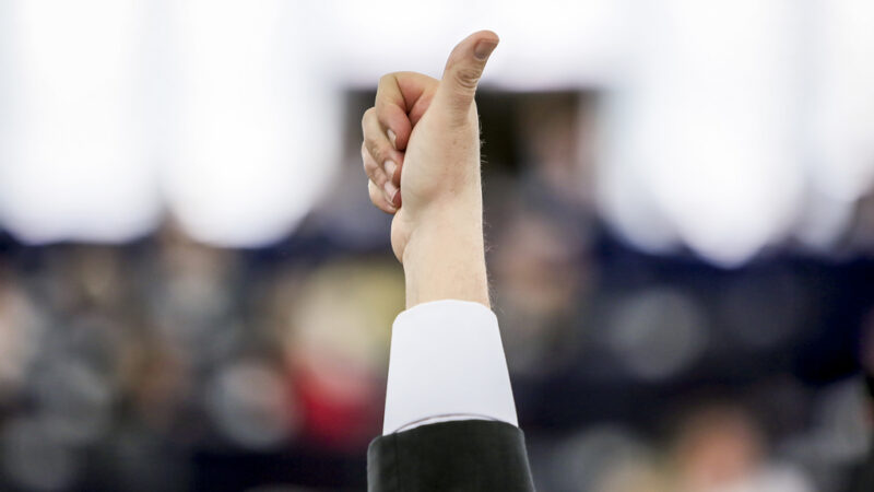 Přehled českých europoslanců: Na čem pracovali a&nbsp;co se jim podařilo?