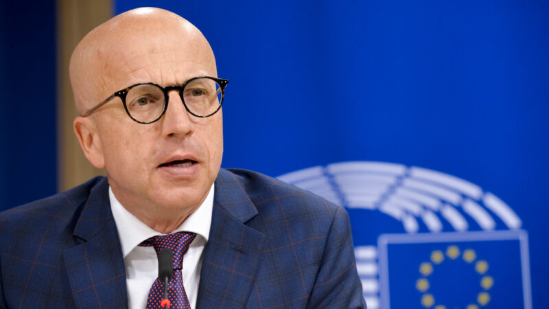 V hodnocení českých europoslanců uspěl Telička. Práci členů EP lze však hodnotit různě, říkají odborníci