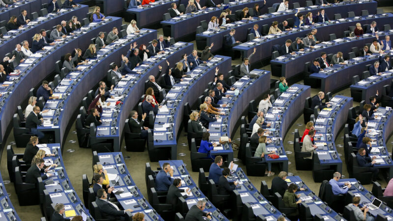 Jak si vedou čeští nováčci v&nbsp;Evropském parlamentu?