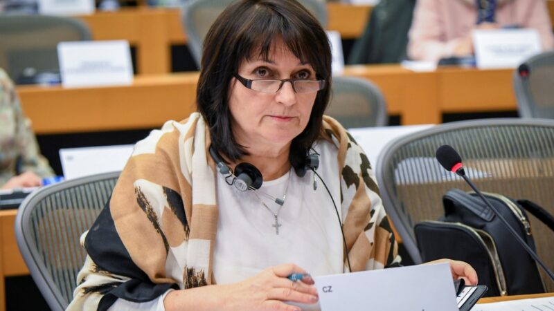 Zastropování dotací dopadne na Agrofert, střední farmy se obávat nemusí, říká europoslankyně Šojdrová