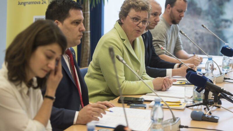 Šéfka kontrolní mise EP: V&nbsp;Česku není funkční systém, který by odhalil střet zájmů