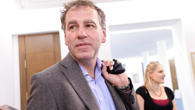 Přehled českých europoslanců: Luděk Niedermayer