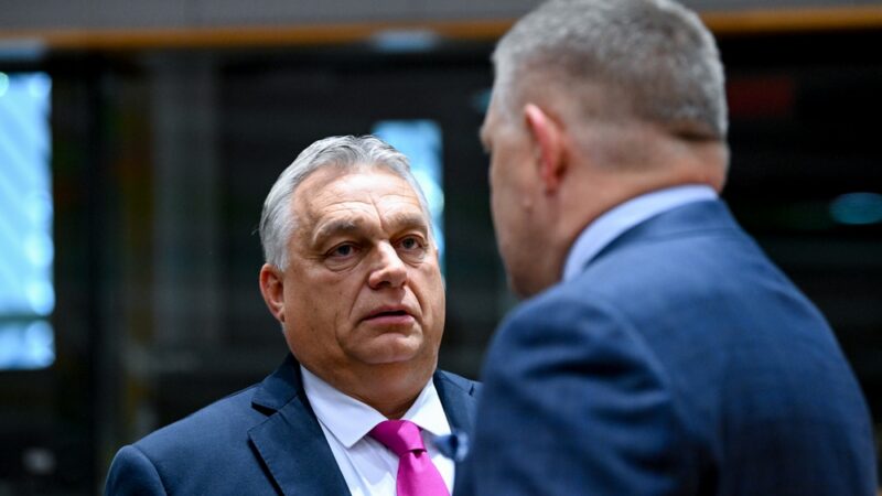 Orbán s&nbsp;Ficem odmítají migrační pakt EU i&nbsp;zrušení práva veta