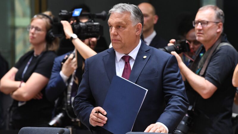 Orbánovy výroky o&nbsp;rasách jsou hloupé, říká Vondra. Ke kritickému stanovisku EP se však konzervativci nepřipojili