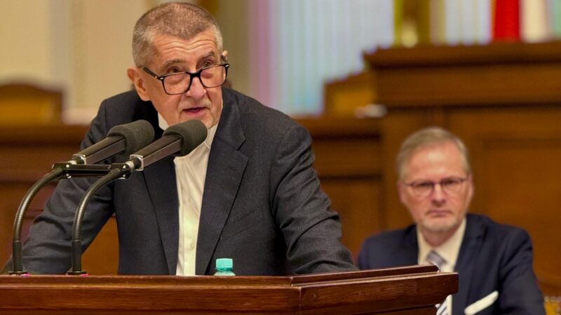 Migrační pakt je podle Babiše zrůdná dohoda maskující uprchlické kvóty