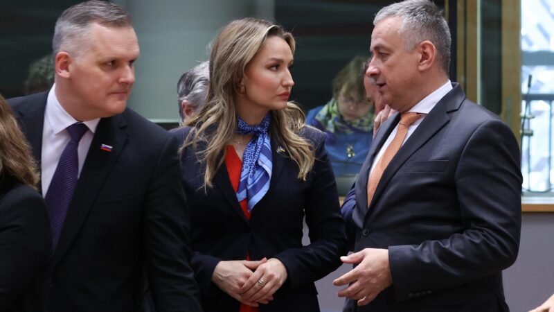 Země EU budou pokračovat v&nbsp;omezené spotřebě plynu, úspory se osvědčily