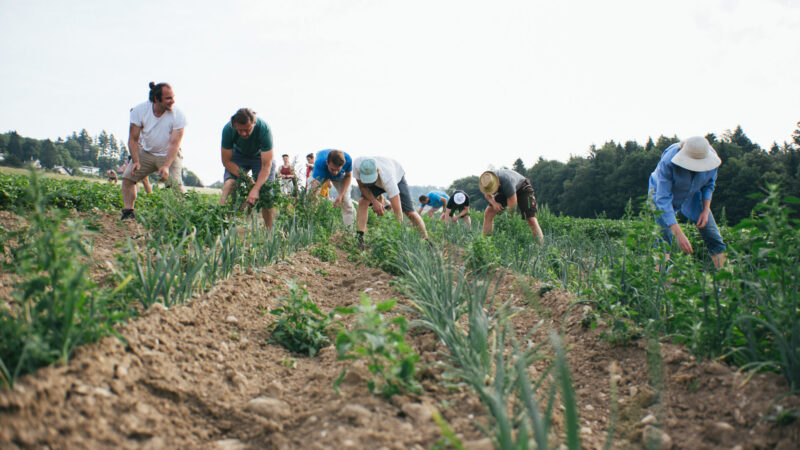 Naše farmářská škola láká i&nbsp;architekty, říká její zakladatel Jiří Prachař