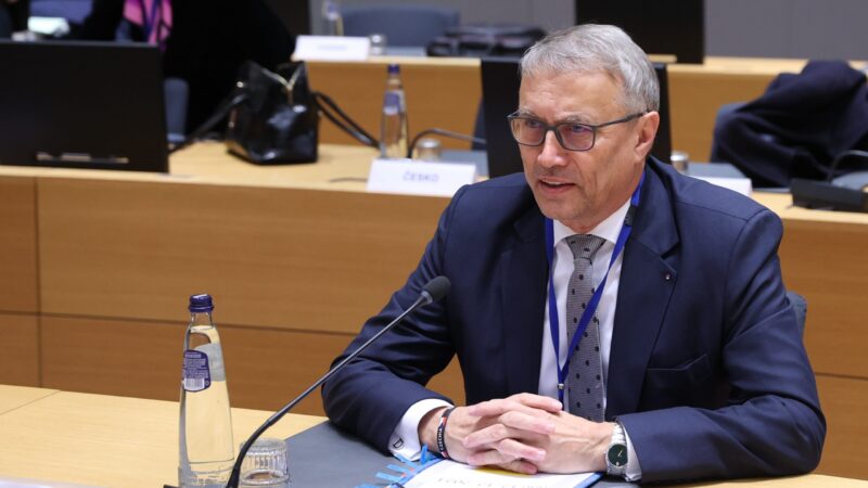 Euro nemá politickou podporu, Česko půjde spontánní cestou, řekl Dvořák