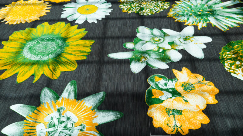 Podcast: Kávu nevaříme, jsme plnohodnotní členové týmu, říkají stážisté předsednictví