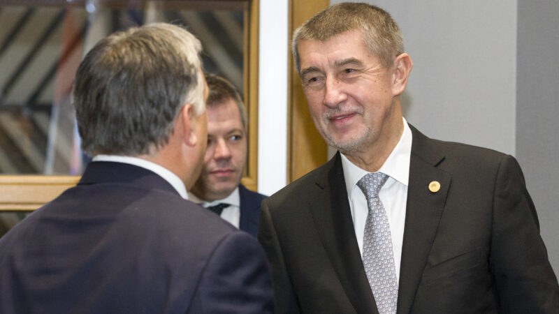 Babiš: Euro není důležité. Byznys ale harmonogram vstupu do eurozóny očekává