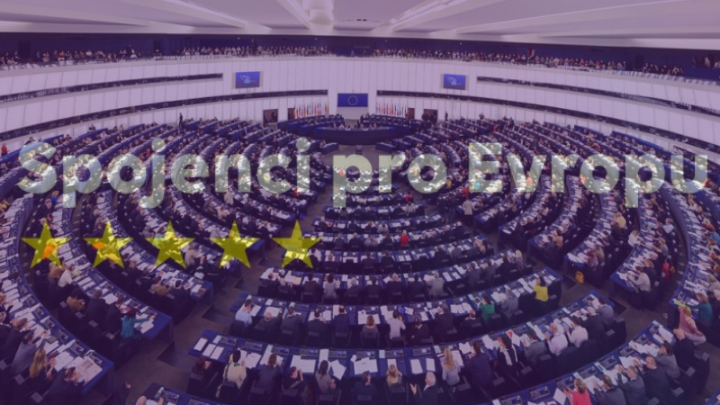 Přehled českých politických stran: Spojenci pro Evropu