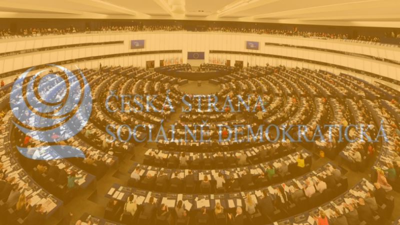 Přehled českých politických stran: ČSSD