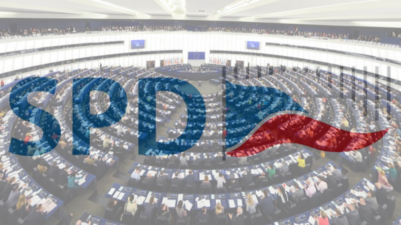 Přehled českých politických stran: SPD