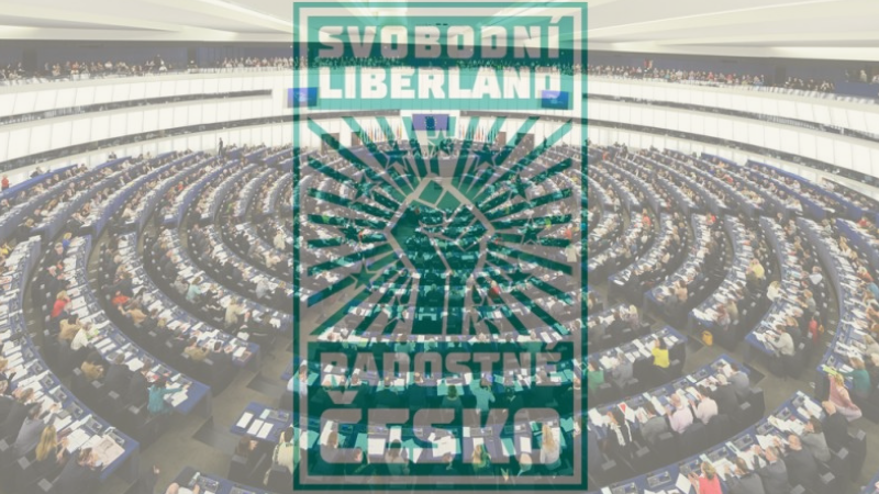 Přehled českých politických stran: Svobodní, Liberland a&nbsp;Radostné Česko