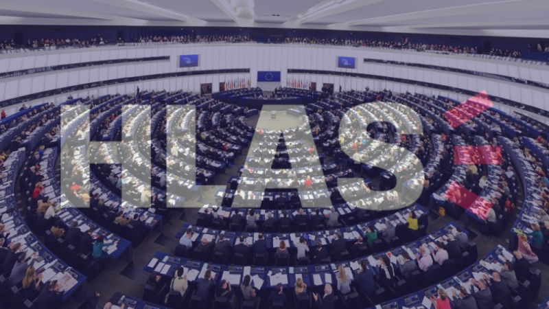 Přehled českých politických stran: Hlas