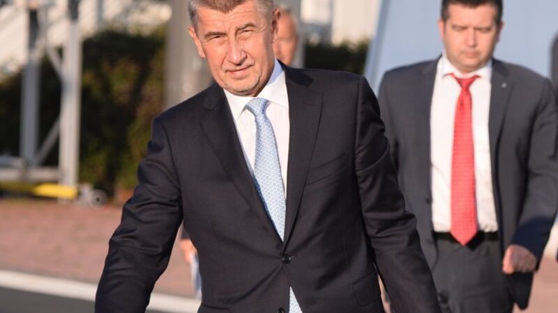 Podle Babiše je třeba EU zreformovat a&nbsp;vrátit se k&nbsp;mezivládní spolupráci