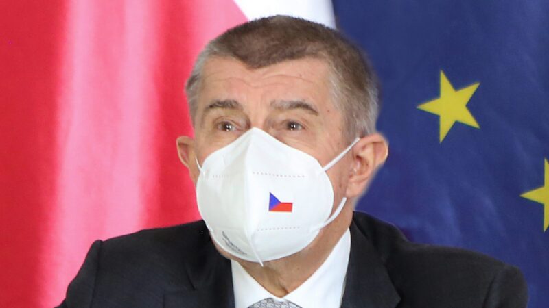 Anketa: Poslanci z&nbsp;celé Evropy kritizují premiéra Babiše za střet zájmů. Co na to říkají čeští europoslanci?