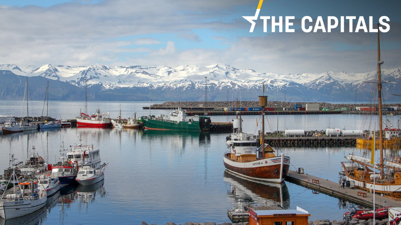 The Capitals: Islandští vikingové jsou za poslední dekádu nejblíže vstupu do EU