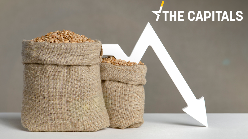 The Capitals: Ukrajina souhlasí s&nbsp;dočasným omezením bezcelního obchodu s&nbsp;EU, má ale podmínku