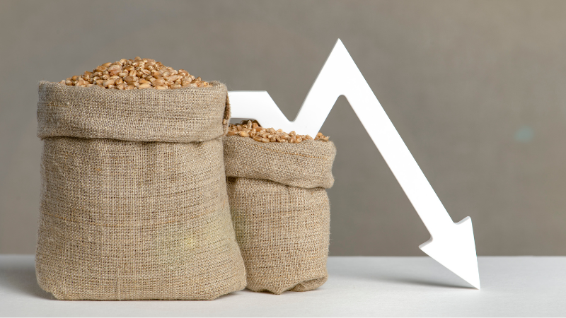 The Capitals: Němečtí konzervativci chtějí zakázat dovoz ruských potravin