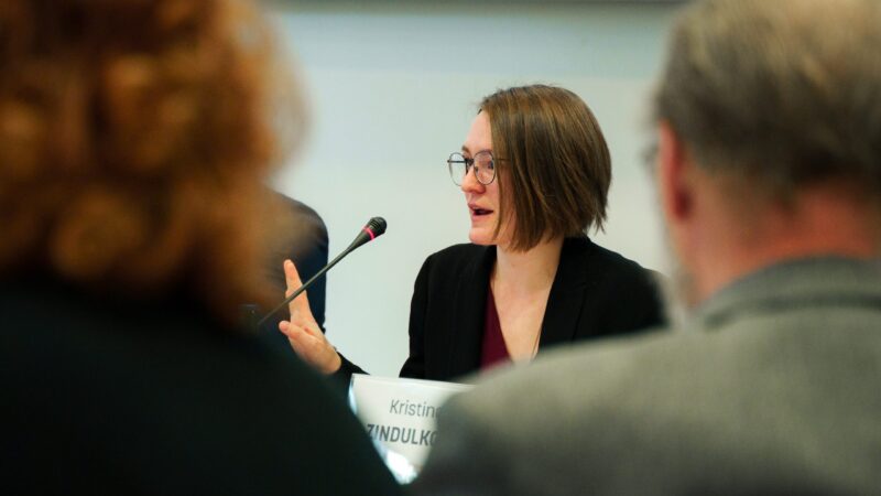 V Česku chybí politická odvaha a&nbsp;rozhodnost, říká o&nbsp;dekarbonizaci analytička Zindulková