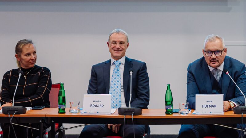 Brajer z&nbsp;České spořitelny: Soláry bez baterií ztrácejí ekonomický smysl