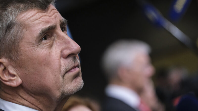 Babiš: Evropská rada by měla být koaliční vládou Evropy