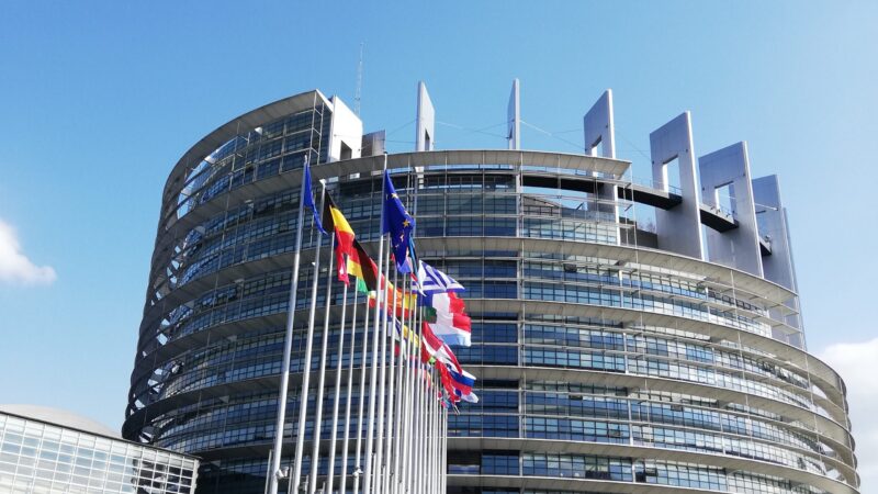 Čeští europoslanci a&nbsp;europoslankyně 2019-2024: Na čem pracují a&nbsp;kde „jsou vidět“?