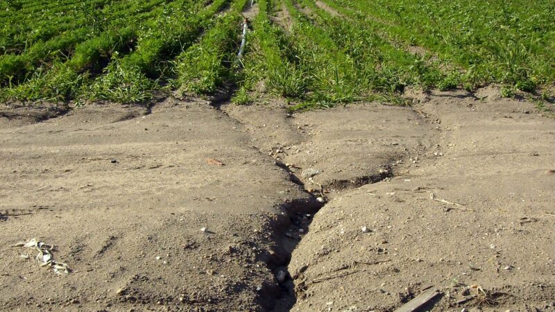 Erozi půdy lze řešit rozumným hospodařením v&nbsp;krajině, nikoliv nesmyslnými restrikcemi