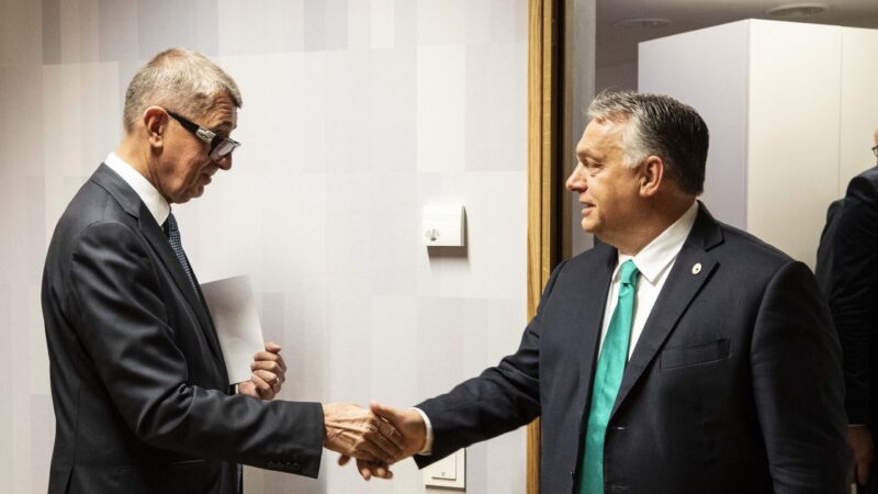 Patrioti pro Evropu už jsou v&nbsp;europarlamentu třetí nejsilnější, přidal se i&nbsp;Turek