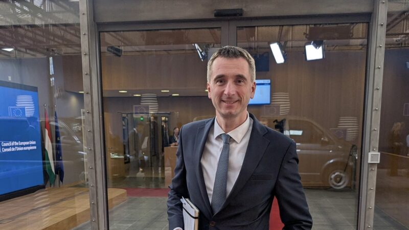 Vlček: Česká „automobilová“ výzva rozpoutala v&nbsp;Bruselu debatu, proti jsou severské země