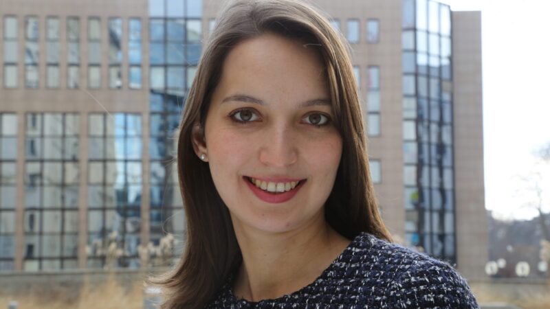 Země V4 by měly být v&nbsp;digitalizaci ambicióznější a&nbsp;inspirovat se v&nbsp;Pobaltí, říká lotyšská expertka