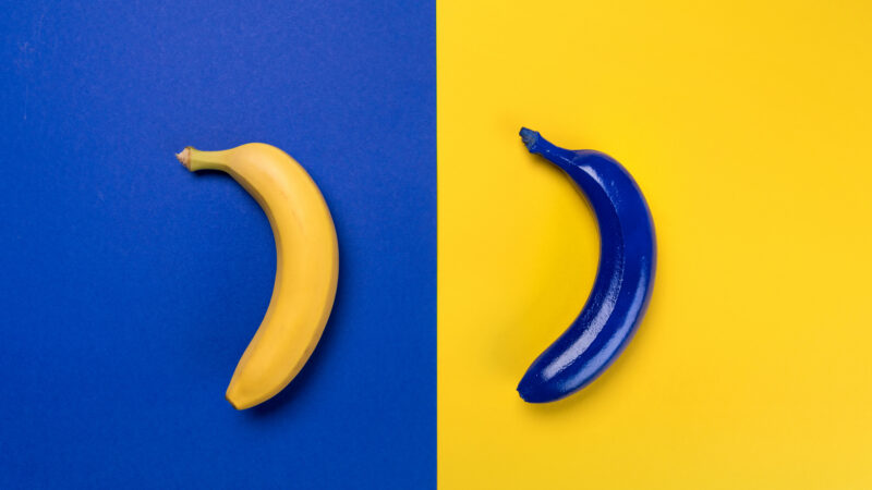 Budoucnost EU: Jako dřív, nebo vzhůru nohama?