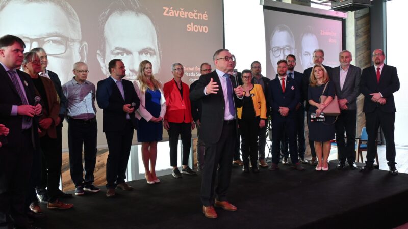 SOCDEM doufá ve zmrtvýchvstání. V&nbsp;europarlamentu nechce chybět, do voleb ji vede Zaorálek