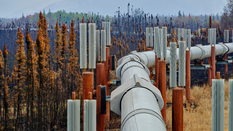 Navýšení poplatku se dodávek plynu do Česka netýká, reaguje české ministerstvo na zprávu THE