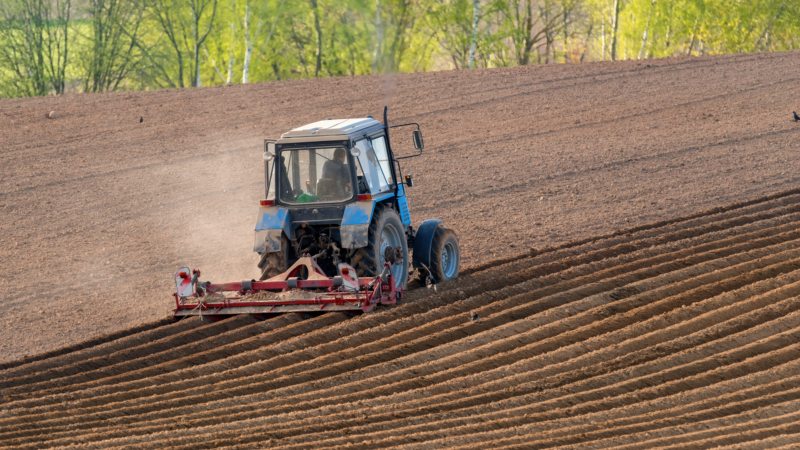 Víc peněz malým farmám a&nbsp;přednost rostlinné stravě, vyzývají ve zprávě evropští zemědělci i&nbsp;ekologové